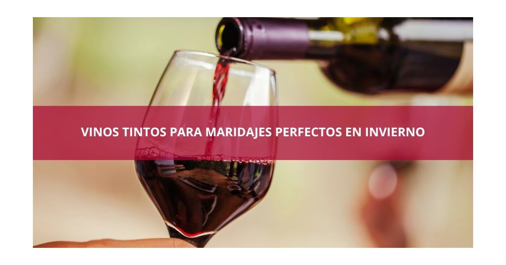 Vinos tintos para maridajes perfectos en invierno